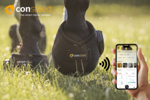 consteed_Marketing (1)